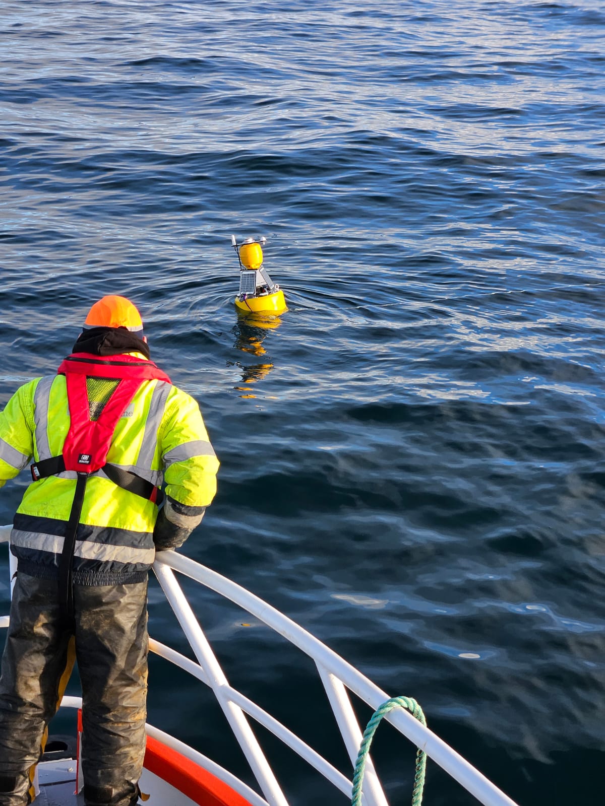 environmental services